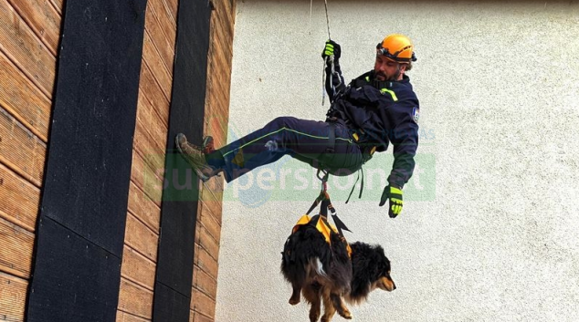 FOTO. Kynologové trénovali se psy na cvičné věži na šumperské stanici