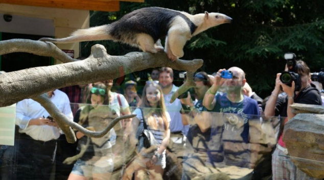 Olomoucký kraj turisty láká. Vede zoologická zahrada na Svatém Kopečku