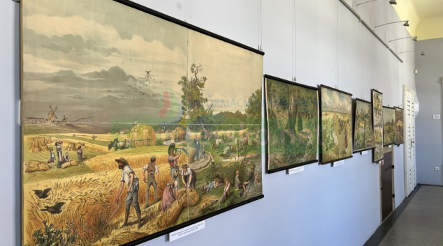 Unikátní sbírka školních obrazů