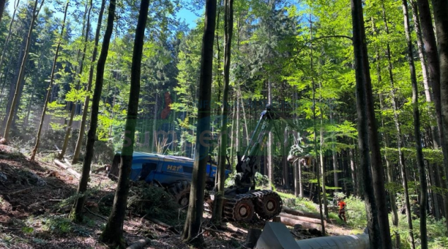 U Černého a Čertova jezera se zpracovává kůrovcové dříví