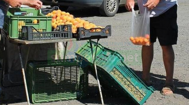 ČOI kontrolovala prodej ovoce a zeleniny u moravských silnic