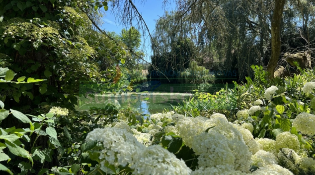 Arboretum nabízí chladivou oázu