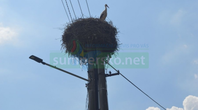 V Olomouckém kraji se stává hitem Osvětlení za korunu