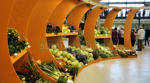 Podzimní Flora se koná na přelomu září a října