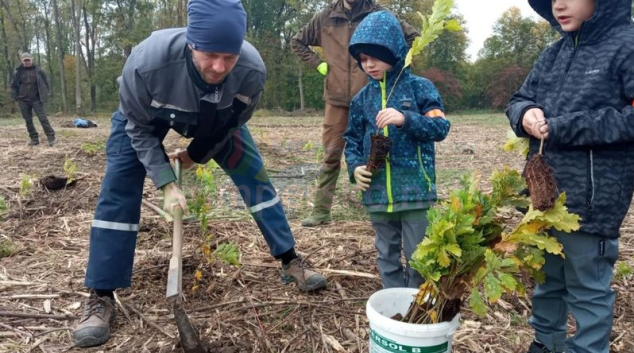 Den za obnovu lesa přivedl na paseky v celé zemi tisíce lidí