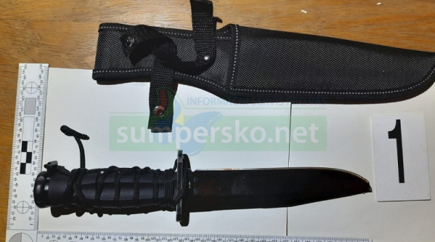 Na vraždu v Postřelmově se pachatel pečlivě připravoval