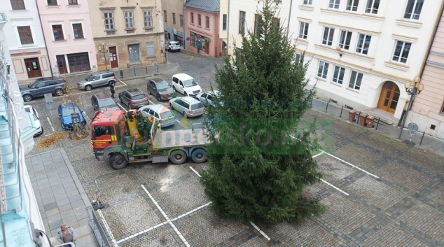 U šumperské radnice již stojí vánoční strom