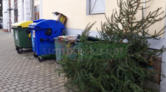 Použité stromy lze v Šumperku odkládat k tříděnému odpadu