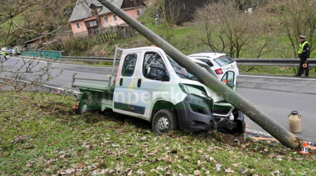 Řidič se lekl zvířete a havaroval