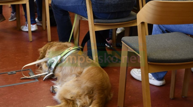 Týden vodicích psů v šumperské knihovně