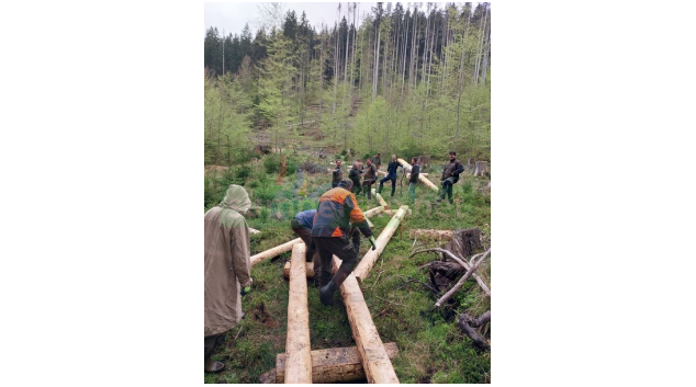 Turisté mohou opět nahlédnout do Boubínského pralesa