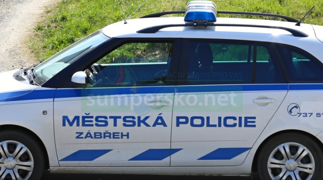 Hlídka MP Zábřeh během krátké doby dopadla zloděje