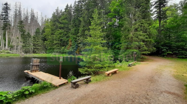 Turisté mohou zase nahlédnout do Buoubínského pralesa