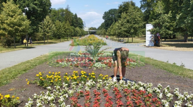 Výsadbu ornamentálních záhonů zdržel nedostatek rostlin