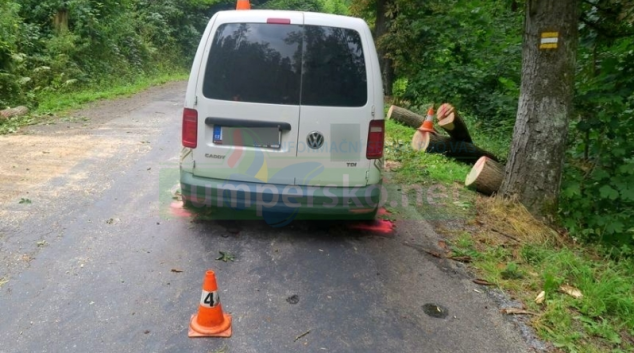 Na autě skončil celý kmen