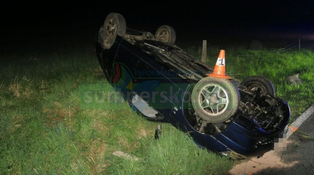 Řidička se vyhýbala zvěři