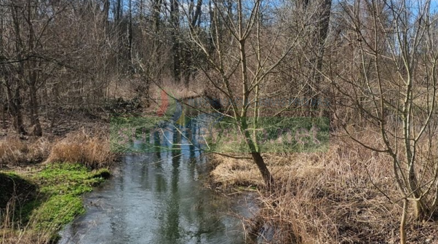 Aktivita komárů v Litovelském Pomoraví
