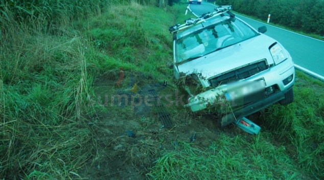 Řidič za volantem usnul