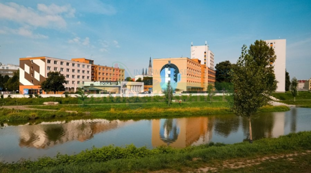 Nová obří graffiti malba na univerzitních kolejích