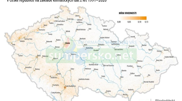 Odborníci z UP předpověděli, kde se v ČR objeví sršeň asijská