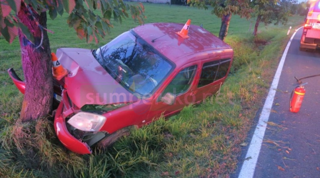 Řidička s autem narazila do třešní