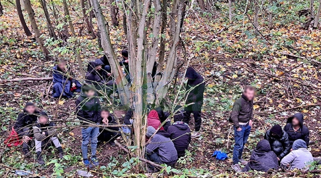 Migranty na Mohelnicku vypátral pes Umpalumpa