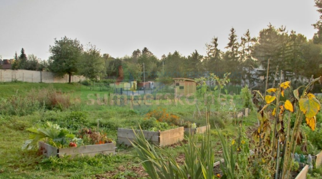 Zahrada se záhony se v areálu FN Olomouc ujala