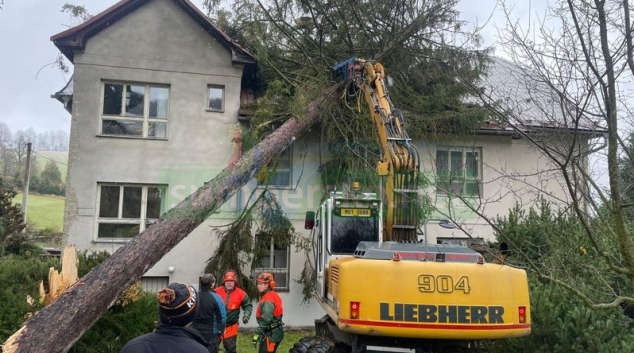 FOTO: Jeseničtí hasiči odstranili mohutný strom