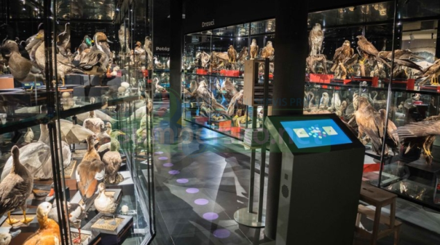 Unikátní výstava ptactva v Olomouckém kraji