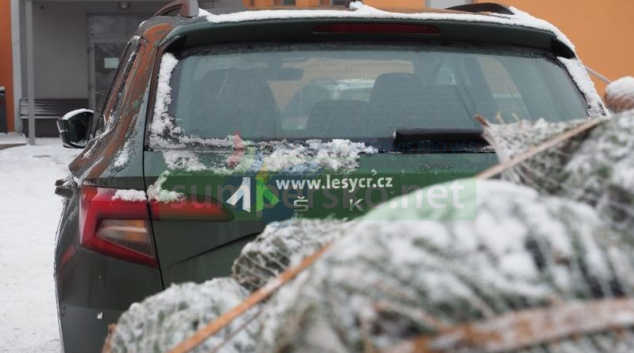 Lesníci začínají rozvážet do dětských zařízení stovky darovaných stromků