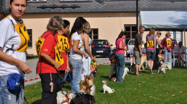 Už je to tady! Připravuje se Šumperský Hafan 2012