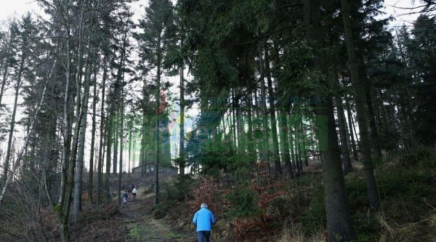 Novoroční výstup na Háj