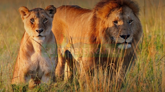 Zážitky z cest do východní Afriky