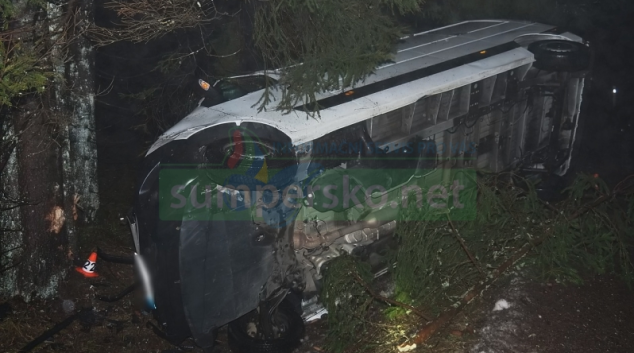 Dodávka u Sobotína narazila do stromu a převrátila se