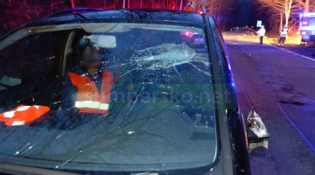 Na Jesenicku spadl strom na projíždějící vozidlo