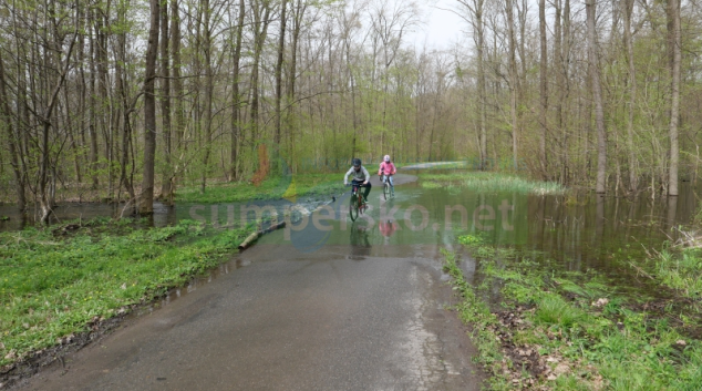 Lužní lesy čerpají z jarní záplavy celý rok