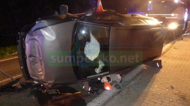 Řidič se lekl přebíhajícího zvířete