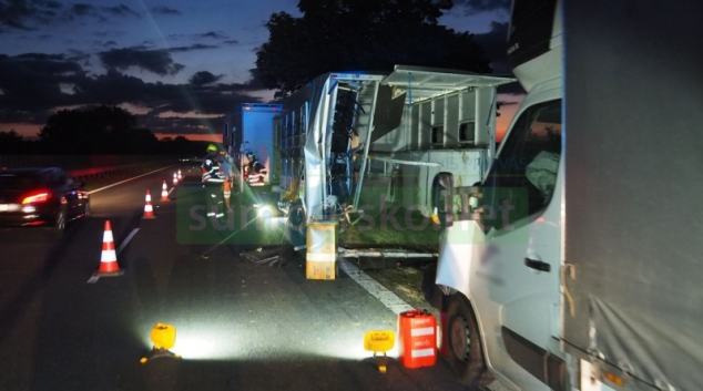 Náraz do vozidla převážejícího koně