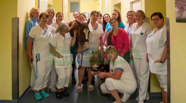 Poníci z Přestavlčic kouzlili úsměvy na tvářích pacientů