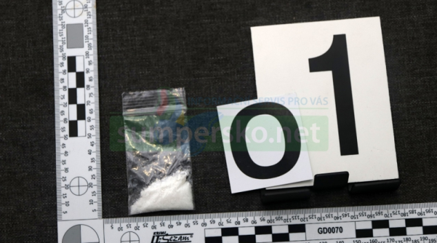 FOTO. Krajští kriminalisté zadrželi a obvinili sedm členů organizované skupiny