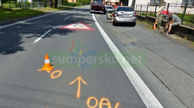 Nepříjemnou situaci na silnici způsobila čivava