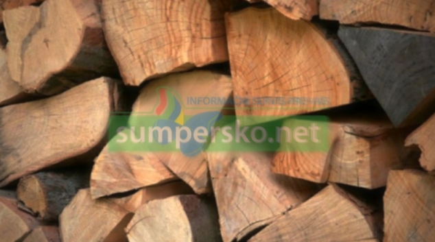 Na Šumpersku zmizelo dřevo za desítky tisíc