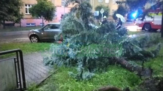 Kvůli bouřkám v kraji hasiči vyjeli k 250 událostem