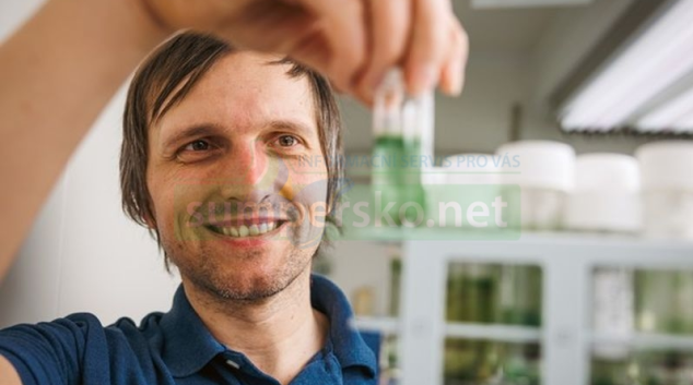 Dva nové druhy sinic objevili botanici z přírodovědecké fakulty