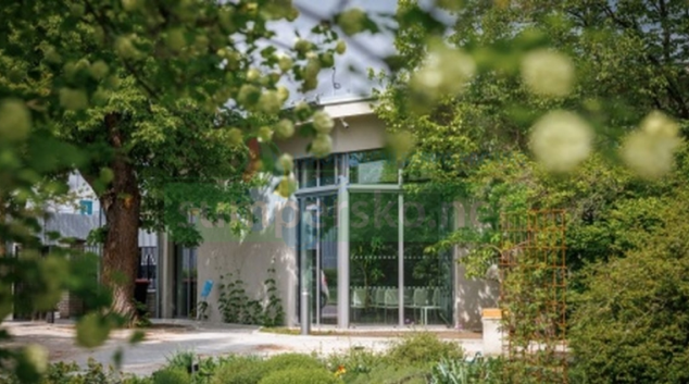 Nádherné květiny i úleva od horka