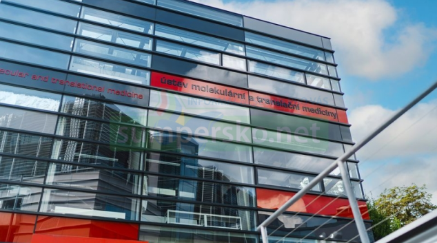 Proti nádorovým buňkám lze využít jejich vlastních chyb