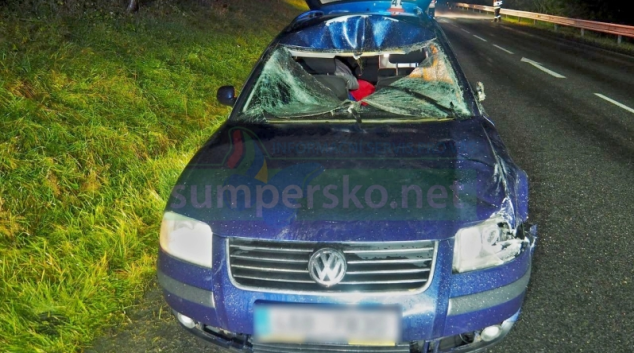 Laň nečekaně vběhla na silnici