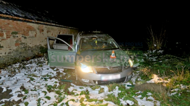 Před projíždějící auto vběhl divočák