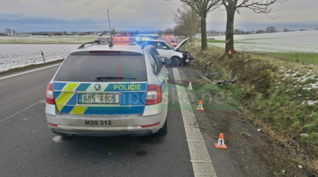 Řidička havarovala do stromu