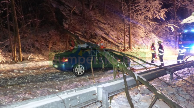 Na projíždějící vozidlo spadl strom